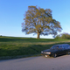 Illustration for article titled Finally Selling My Manual Brown RWD Wagon